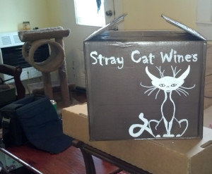 stray cat wines
